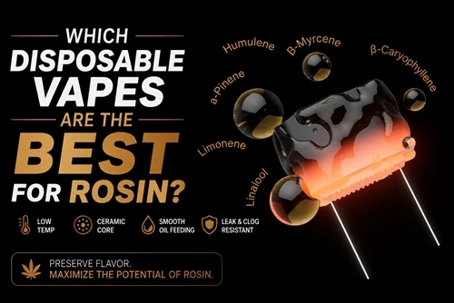 Vape Sekali Pakai Mana yang Terbaik Untuk Rosin?